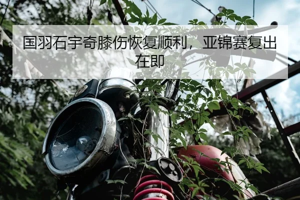 国羽石宇奇膝伤恢复顺利，亚锦赛复出在即