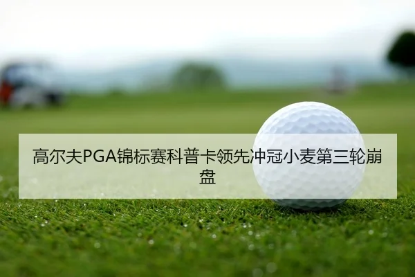高尔夫PGA锦标赛科普卡领先冲冠小麦第三轮崩盘
