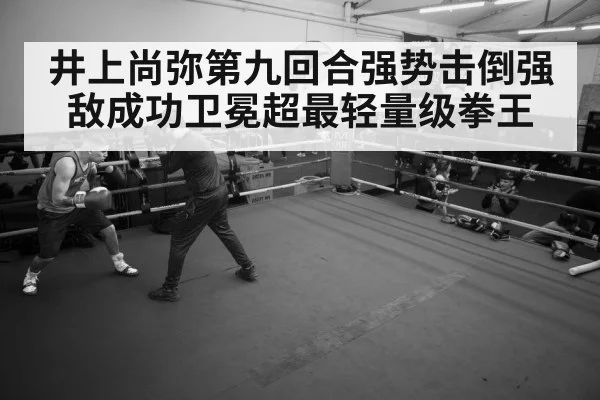 boxer training gym