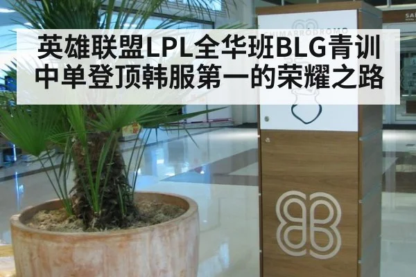 英雄联盟LPL全华班BLG青训中单登顶韩服第一的荣耀之路